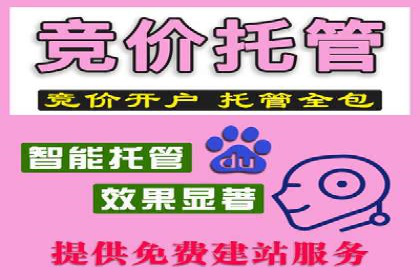 百度竞价策略解析：案例分析及优化建议